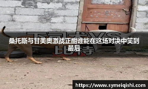 桑托斯与甘美奥激战正酣谁能在这场对决中笑到最后